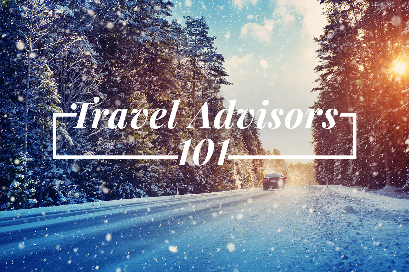 Travel Advisors 101