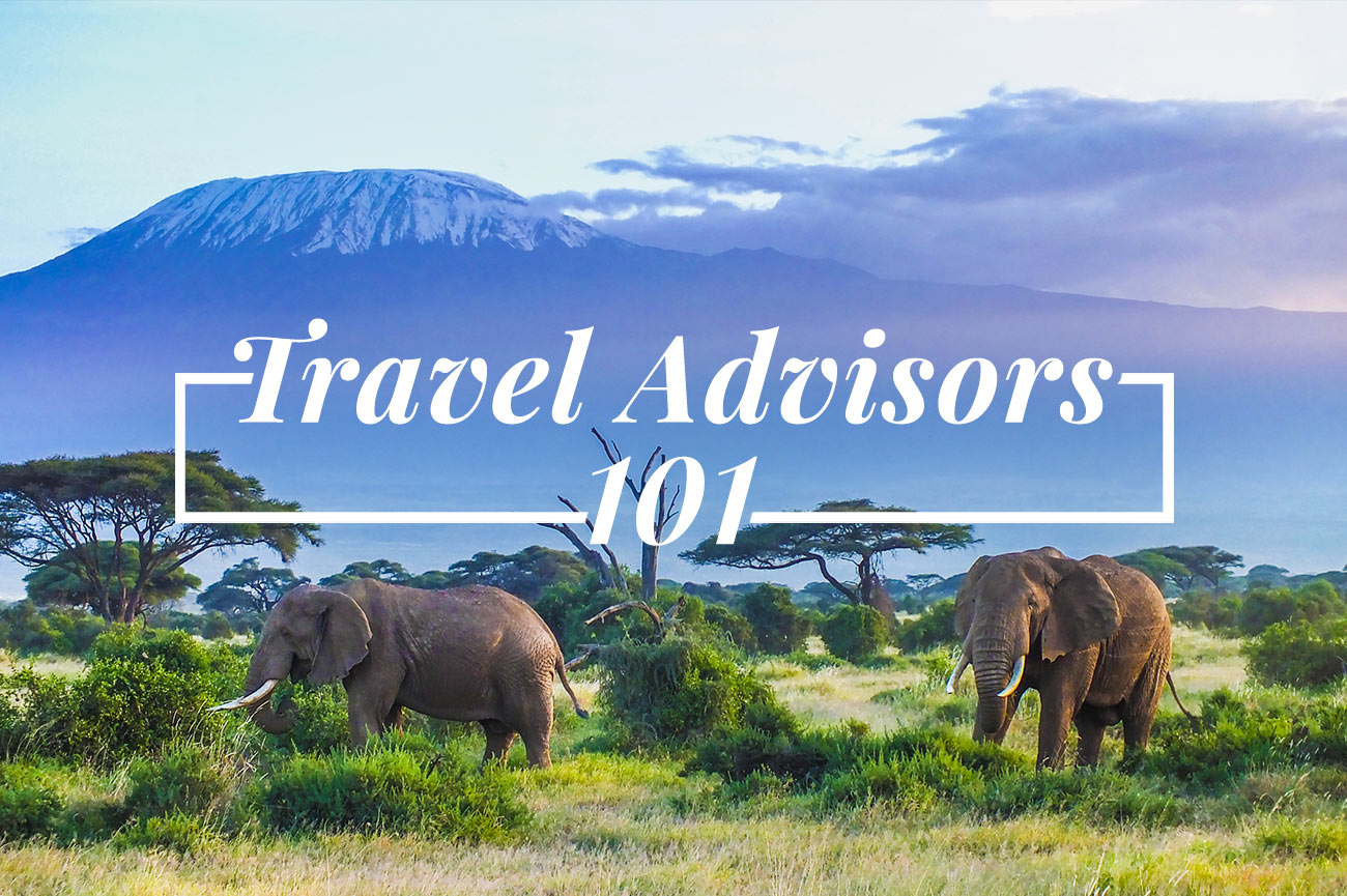 Travel Advisors 101