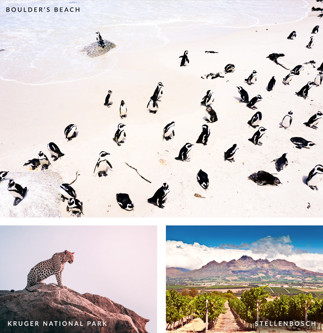 Boulder's Beach, Kruger National Park